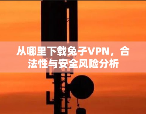 从哪里下载兔子VPN，合法性与安全风险分析