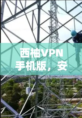 西柚VPN手机版，安全、便捷的移动互联网自由访问工具