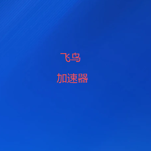 飞鸟VPN